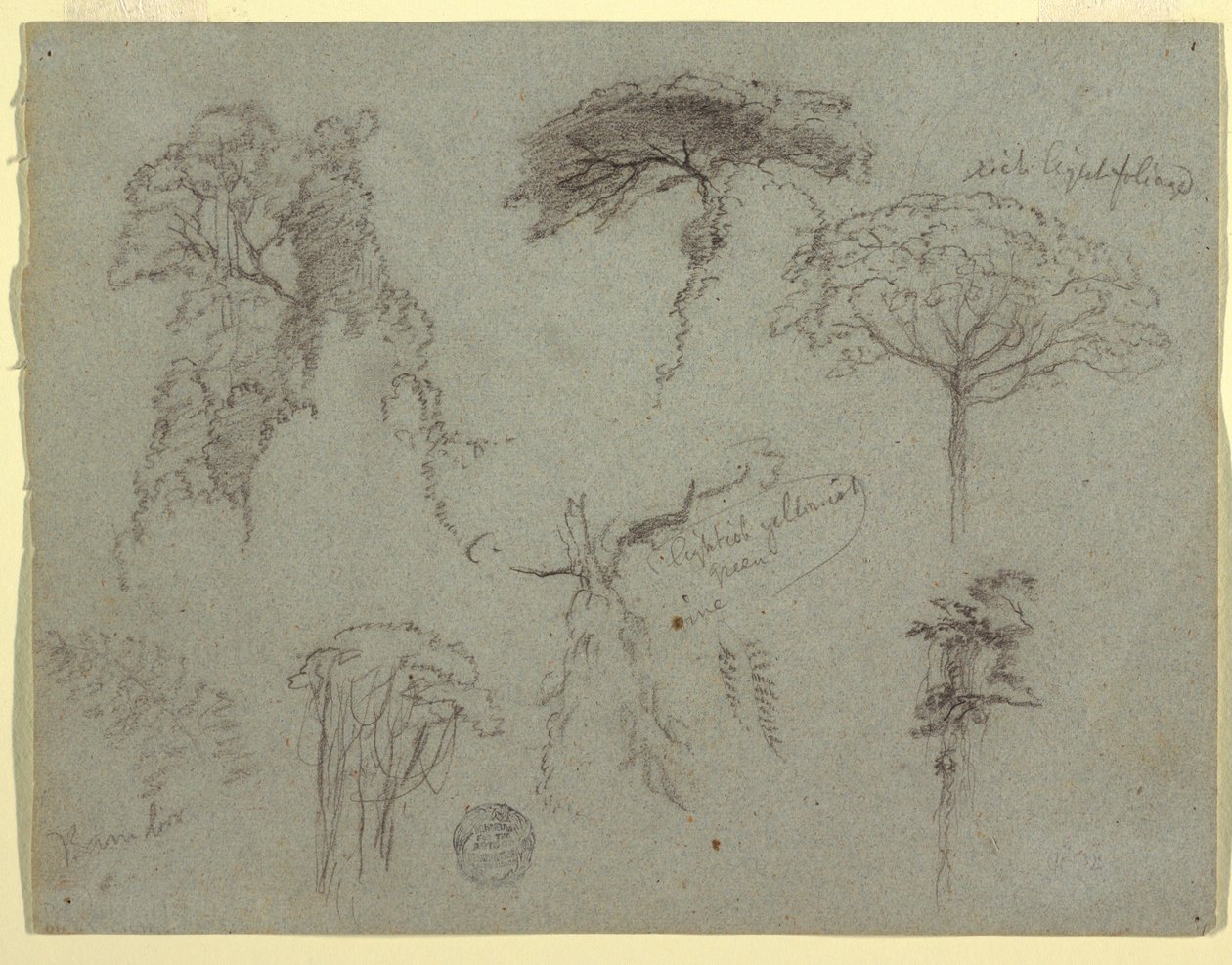 Tegning, Studier af træer, Ecuador, 1853 af Frederic Edwin Church