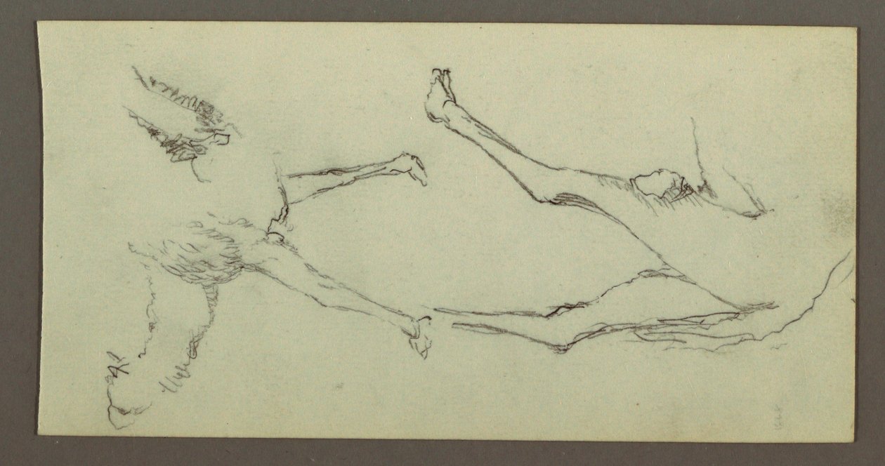 Tegning, studie af kamelben, muligvis 1868 af Frederic Edwin Church