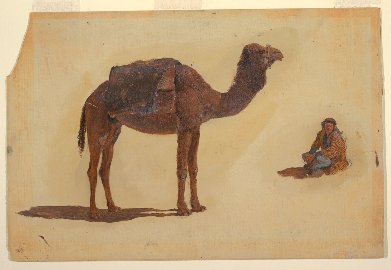 Tegning, studie af en dromedar, 1868 af Frederic Edwin Church