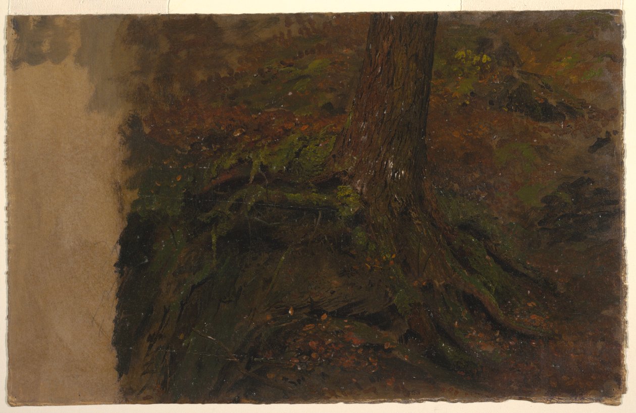 Tegning, studie af en træstamme, 1850-60 af Frederic Edwin Church