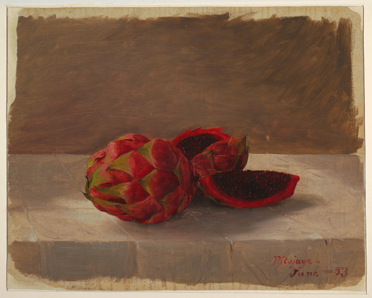 Tegning, Pitajaya-frugten, Columbia, juni 1853 af Frederic Edwin Church