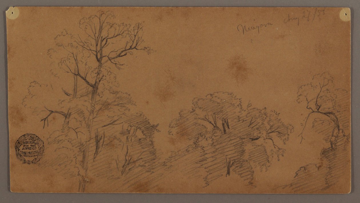 Tegning, trætoppe, Niagara, 27. august 1856 af Frederic Edwin Church