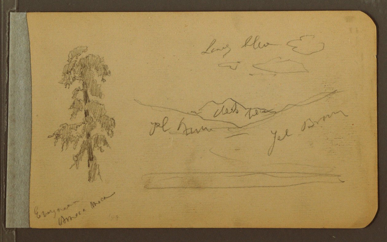 Tegning, træ, bjerge, 1889 af Frederic Edwin Church