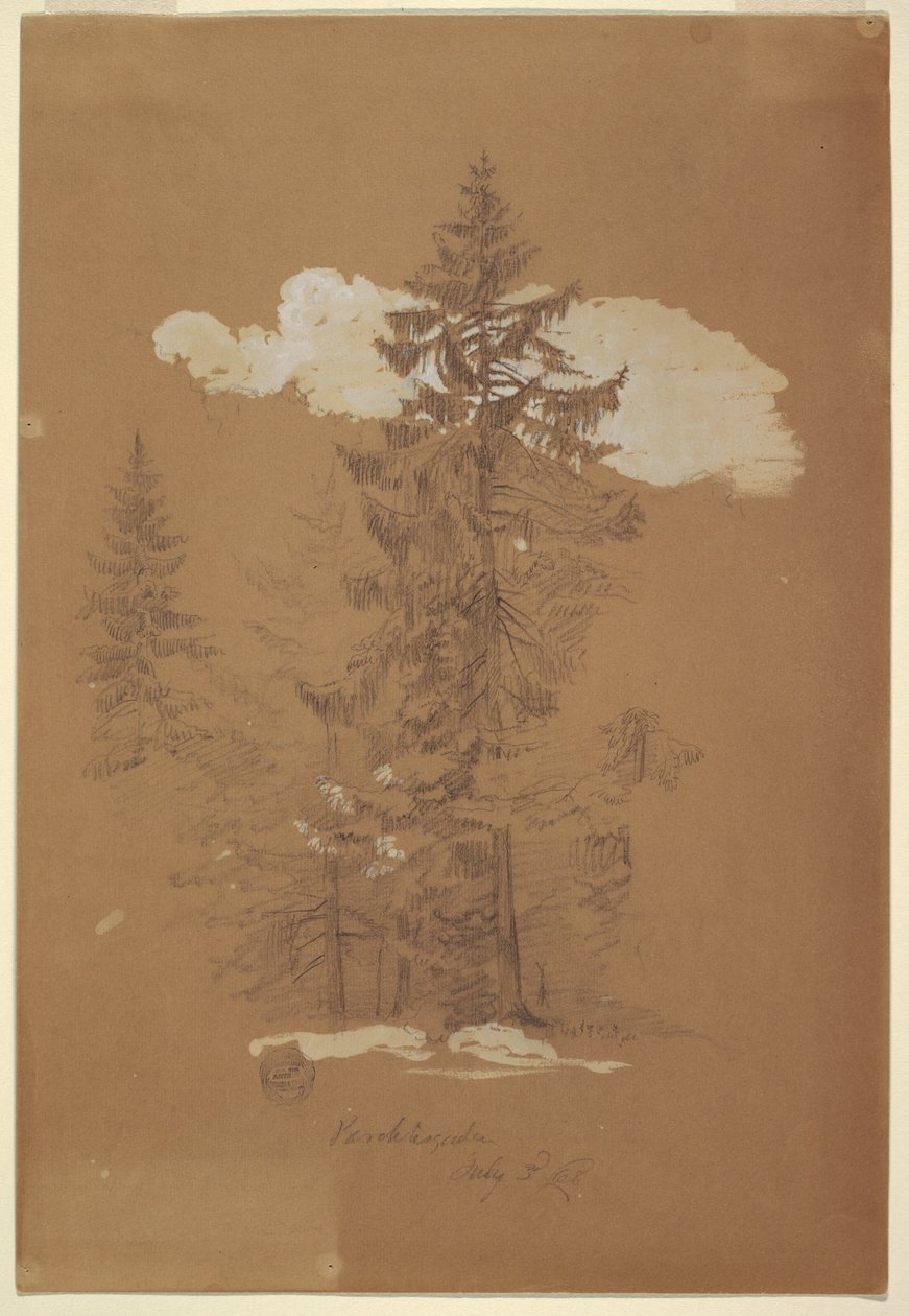 Tegning, Træer, Berchtesgaden, Bayern, 3. juli 1868 af Frederic Edwin Church