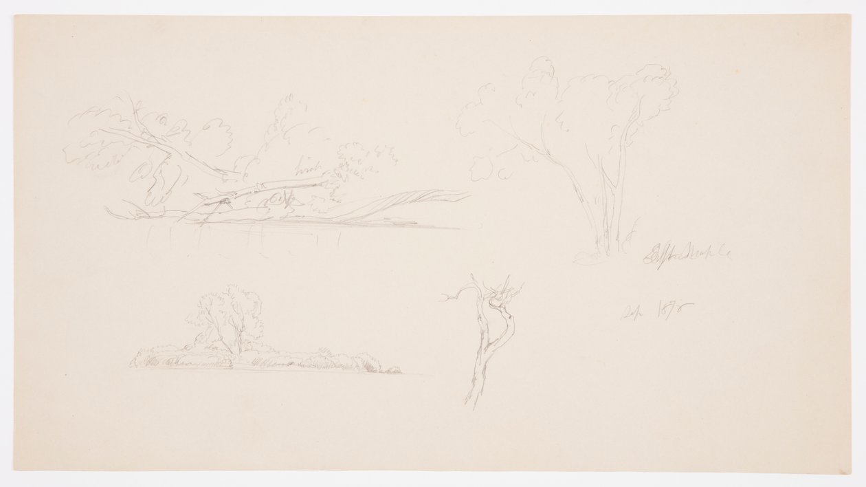 Tegning, Træer, en strand med buske og træer, september 1876 af Frederic Edwin Church