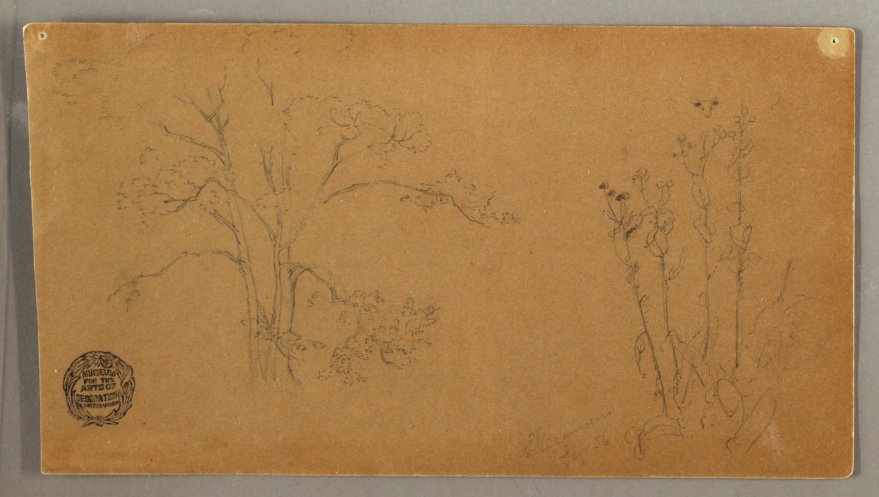 Tegning, Træer og planter, Elecampene, september 1856 af Frederic Edwin Church