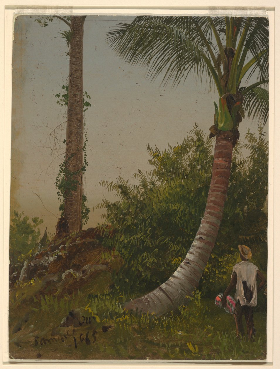 Tegning, Træer på Jamaica, Vestindien, 1865 af Frederic Edwin Church