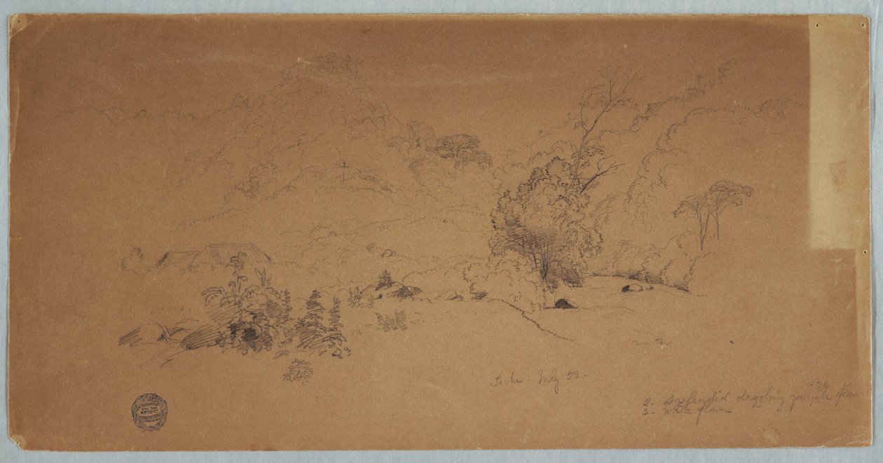 Tegning, udsigt over Toche, Colombia, juli 1853 af Frederic Edwin Church