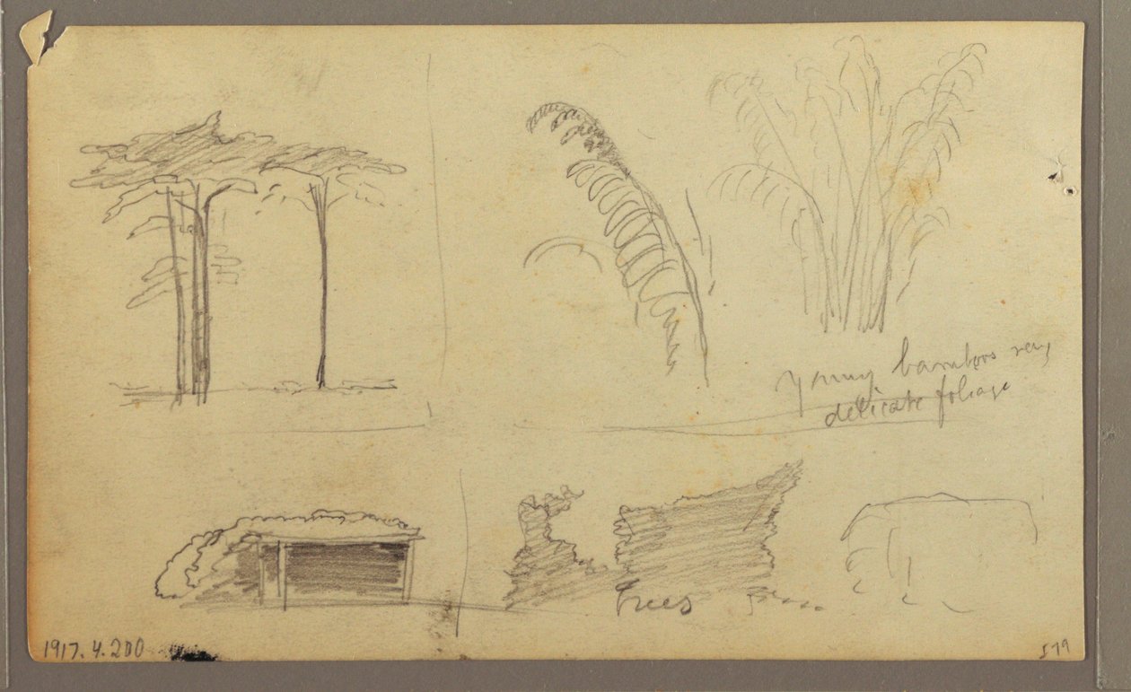 Tegning, Udsigt over østbredden af Guayas-floden, overfor Guayaquil, Ecuador, maj 1857 af Frederic Edwin Church