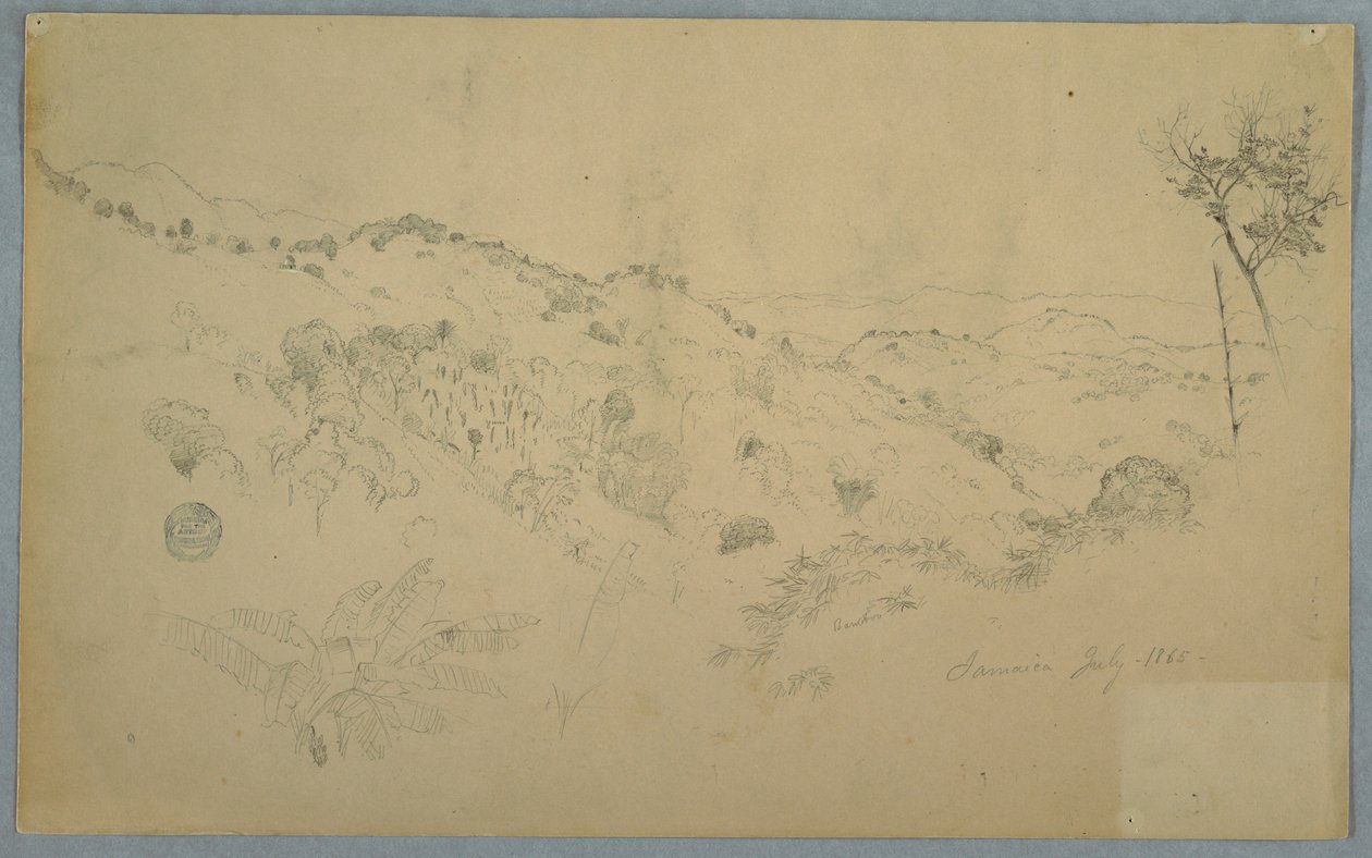 Tegning, skovklædt dal med en stor bregne og fjerne bjergkæder, Jamaica, juli 1865 af Frederic Edwin Church