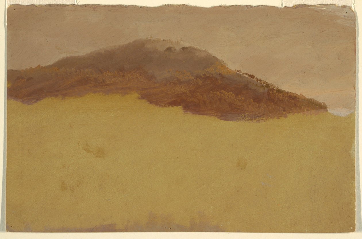 Tegning, Skovklædt bjergskråning, 1870-80 af Frederic Edwin Church