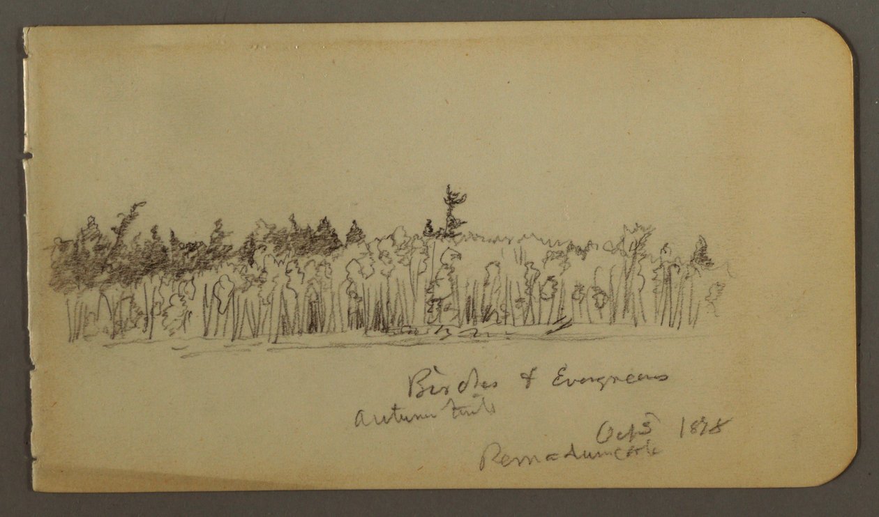 Tegning, skovklædt bred, 1878 af Frederic Edwin Church