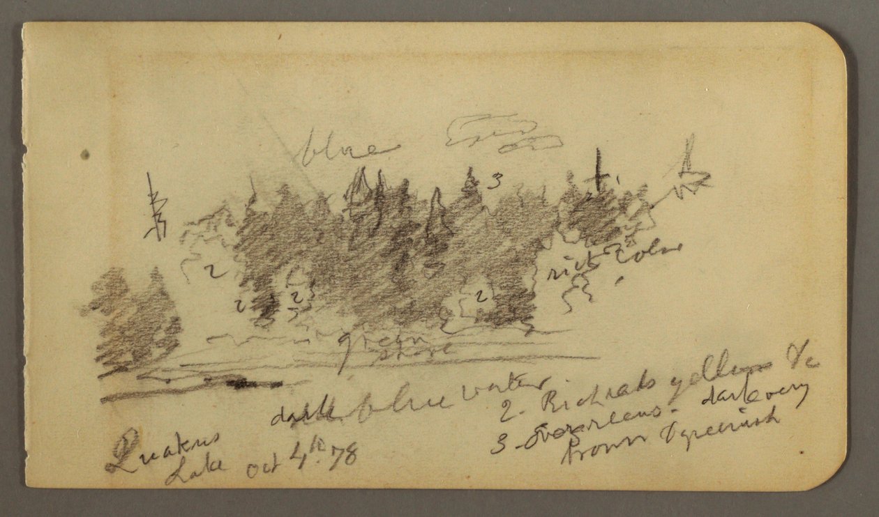 Tegning, skovklædt bred, 1878 af Frederic Edwin Church