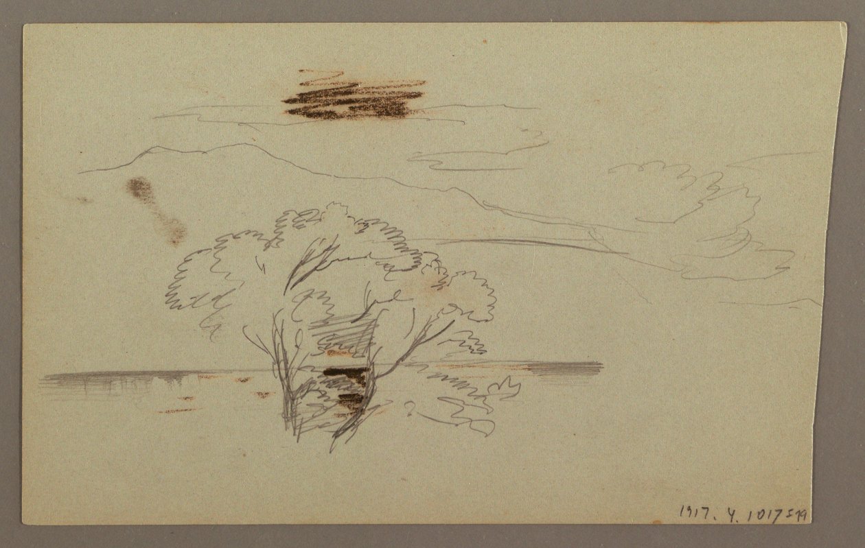 Tegning, skovklædt skråning, bjergland, 1863 af Frederic Edwin Church