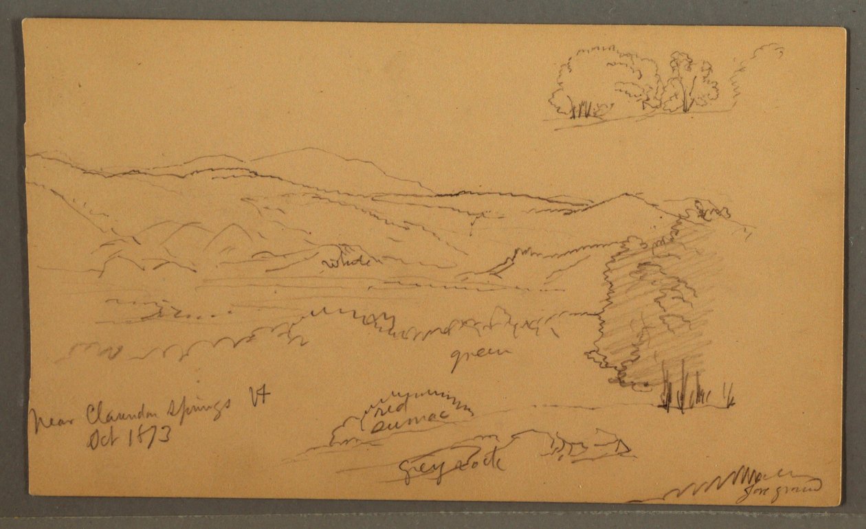 Tegning, Skovklædt dal, oktober 1873 af Frederic Edwin Church