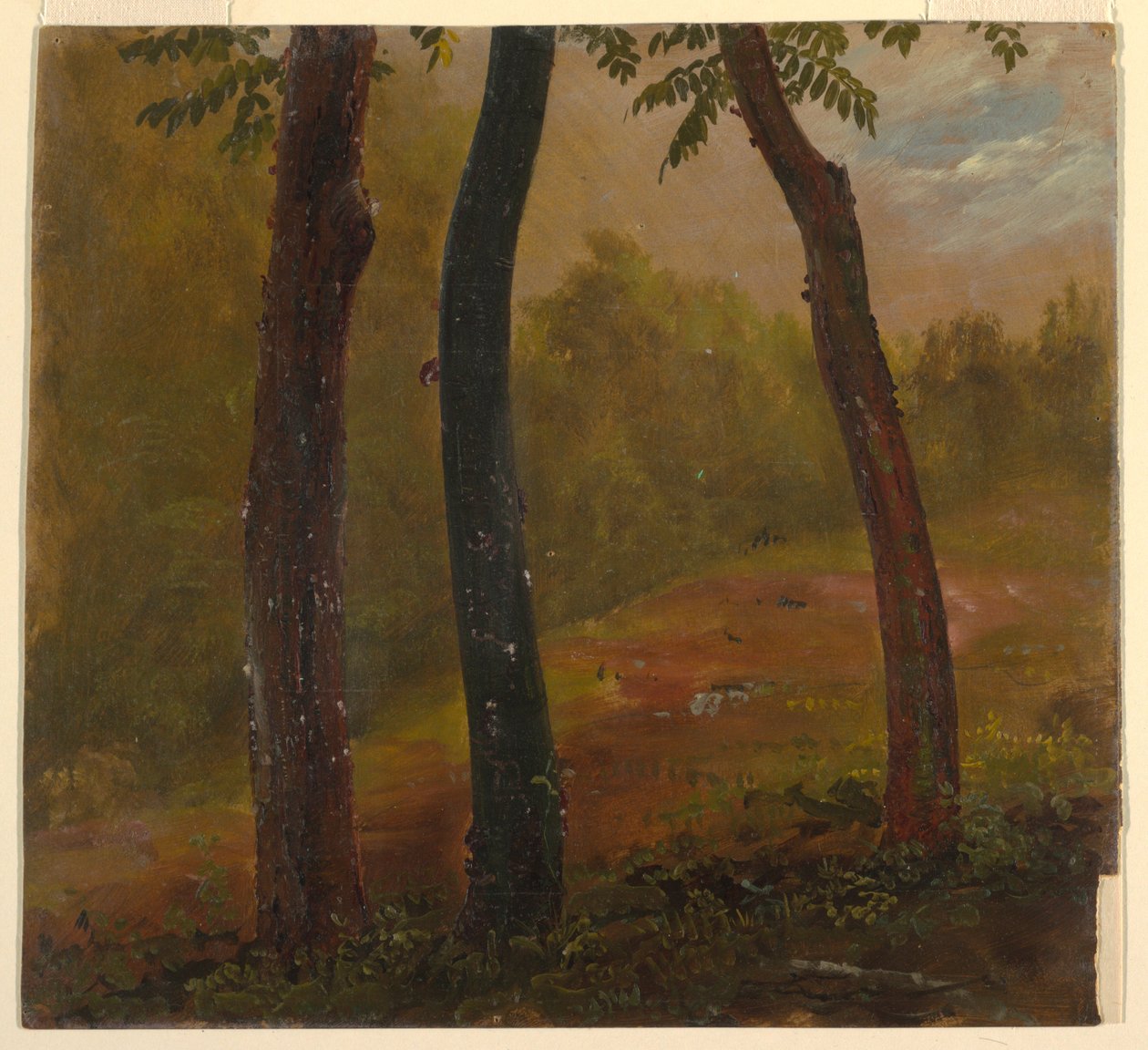 Tegning, skovbillede, Jamaica, 1865 af Frederic Edwin Church