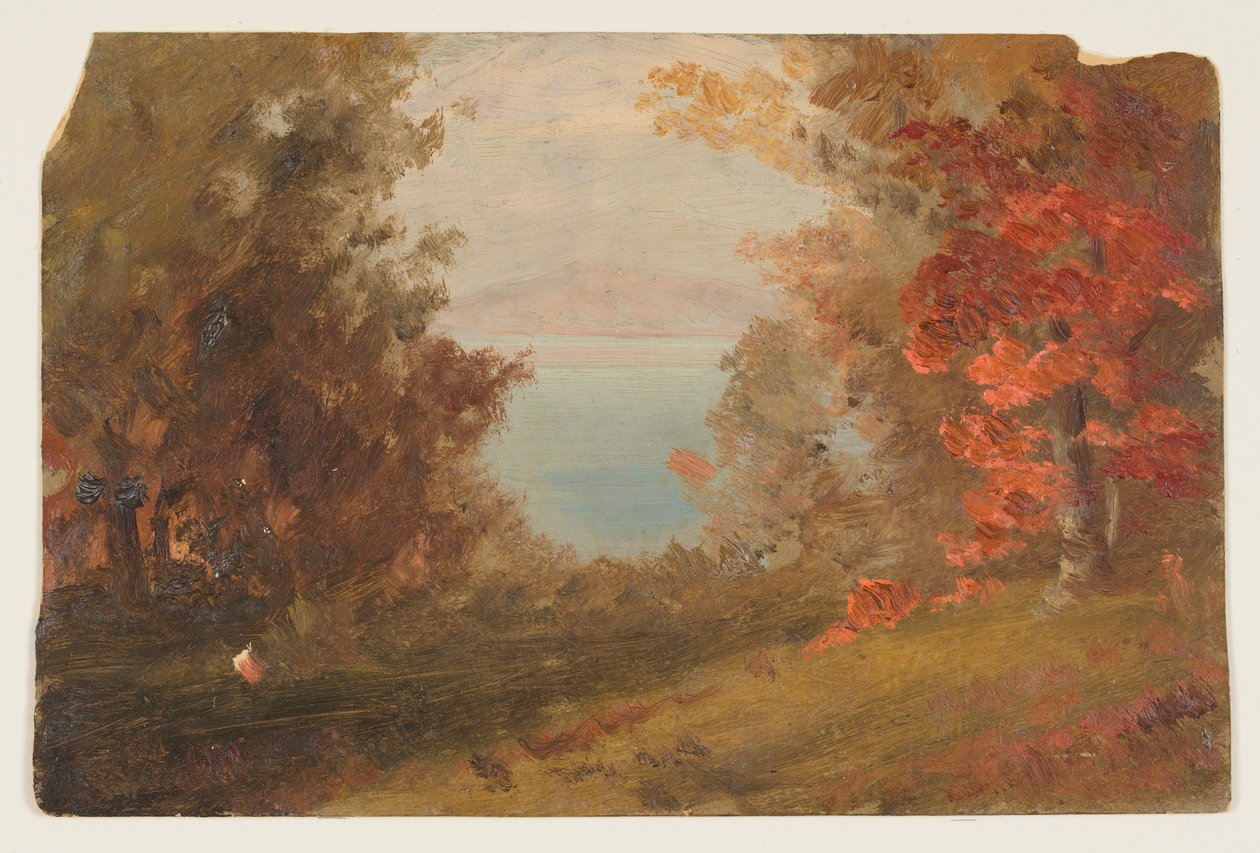 Tegning, skovbillede om efteråret (Hudson, New York eller Maine), 1860-70 af Frederic Edwin Church