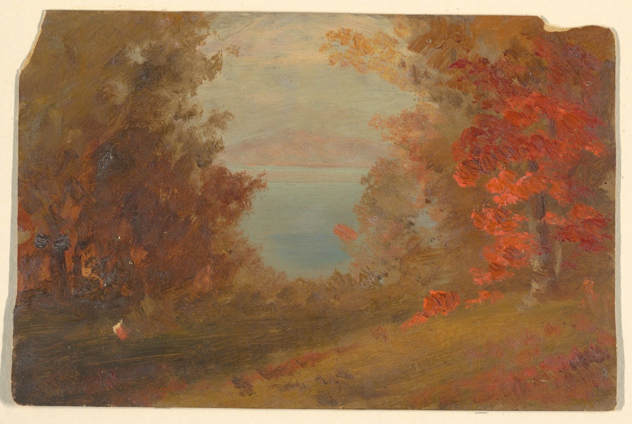 Tegning, skovbillede om efteråret (Hudson, New York eller Maine), 1860-70 af Frederic Edwin Church