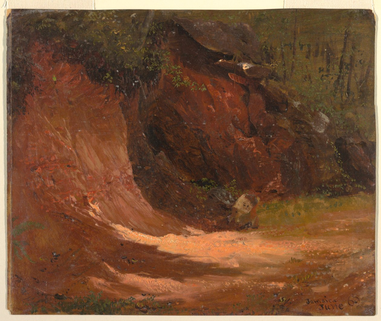 Tegning, Woodland bank, Jamaica, juni 1865 af Frederic Edwin Church