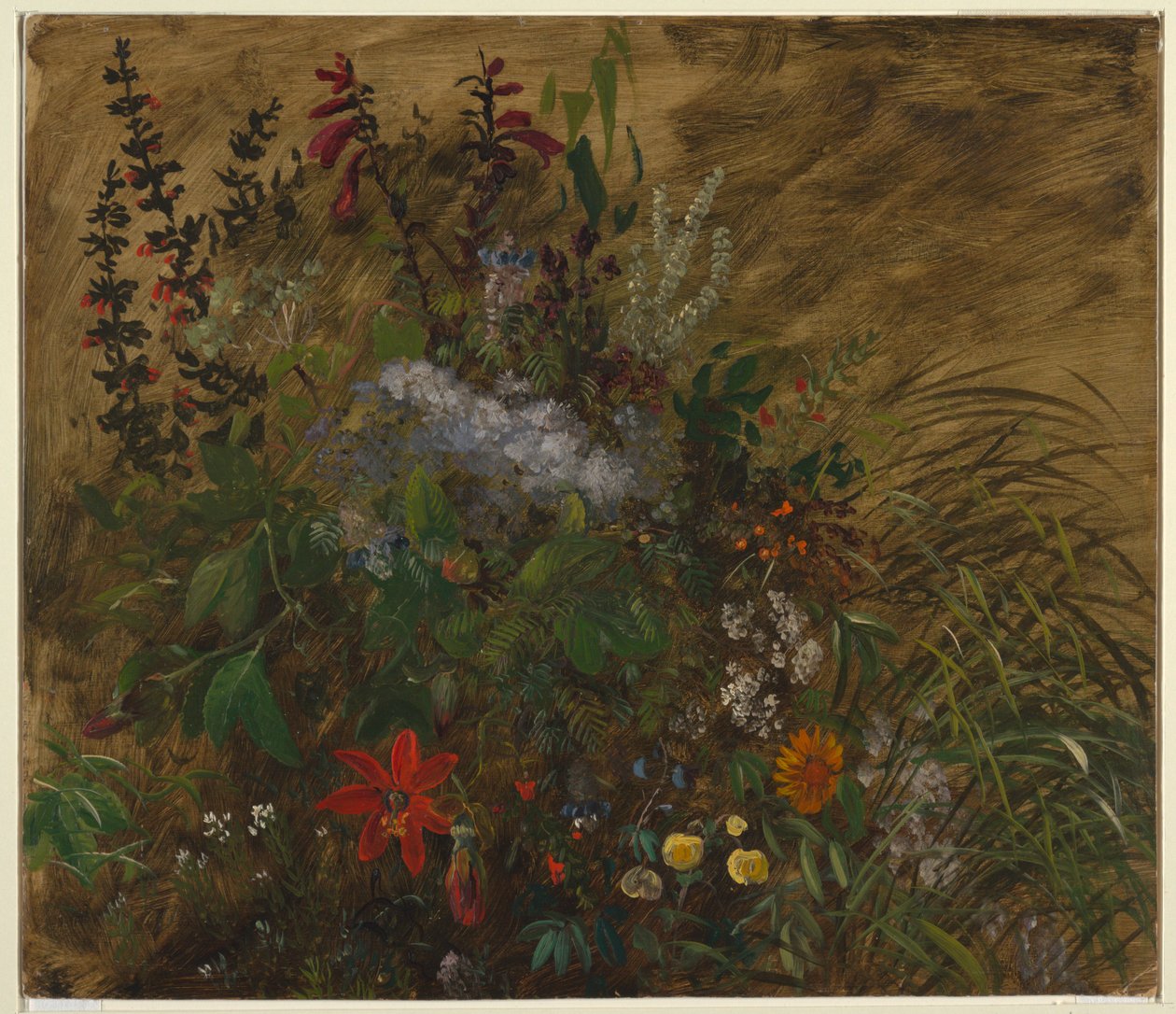 Blomster på Jamaica af Frederic Edwin Church