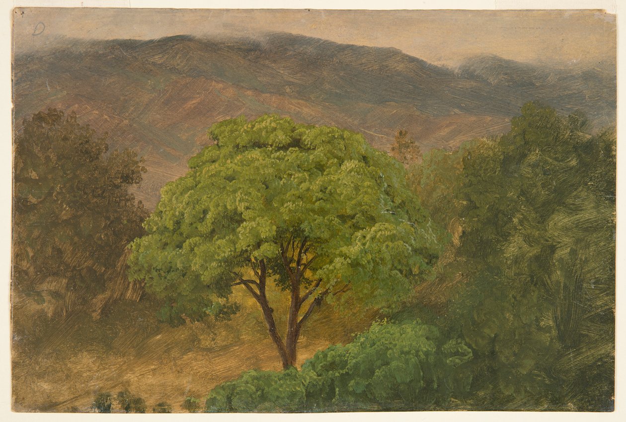 Genip-træ i bjergene, Jamaica af Frederic Edwin Church