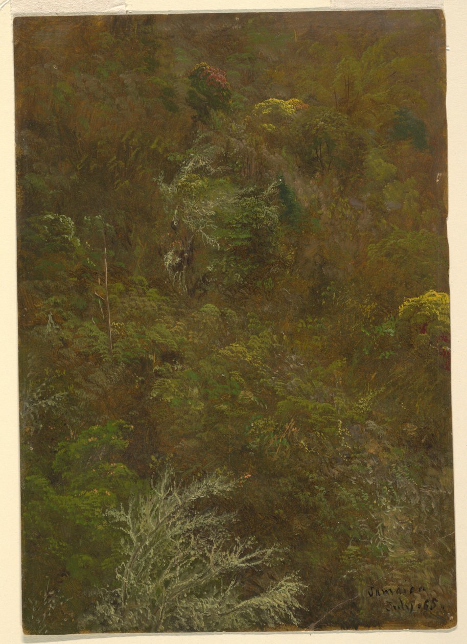 Bakkeskråning med træer, Jamaica af Frederic Edwin Church