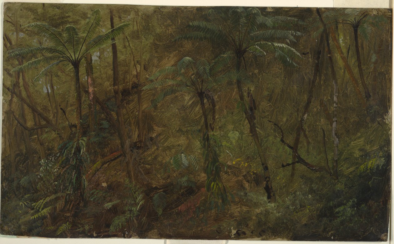 I skoven, Jamaica af Frederic Edwin Church