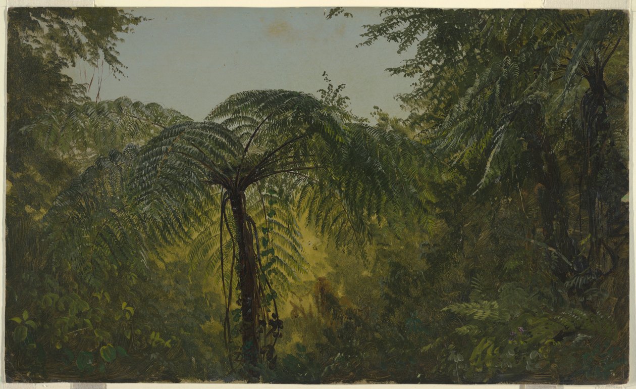 Jungle Foliage, Jamaica af Frederic Edwin Church