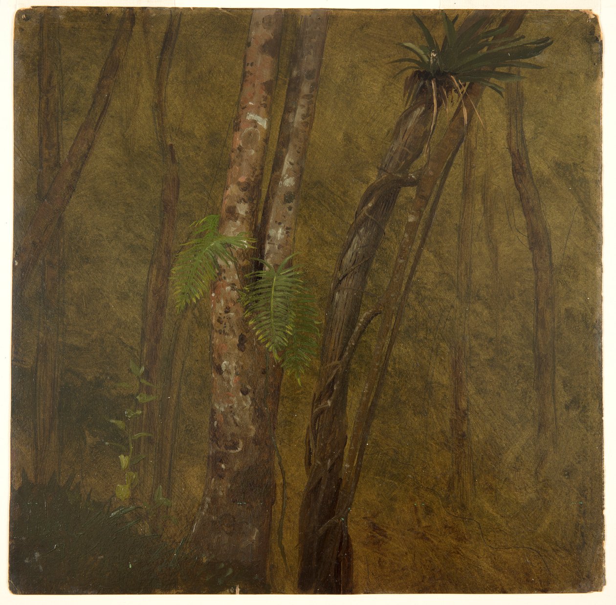Landskab på Jamaica af Frederic Edwin Church