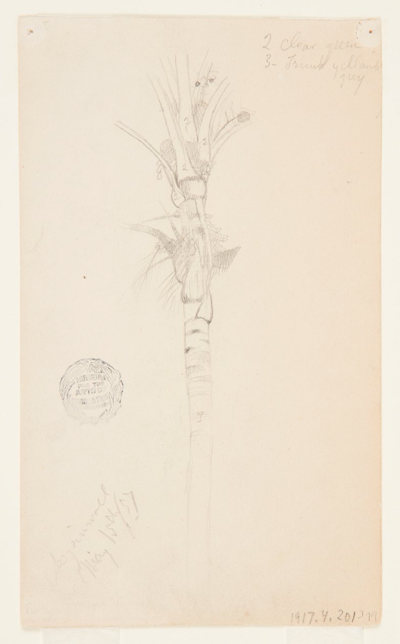 Blade og stængel af et palmetræ, Aspinwall, Panama af Frederic Edwin Church