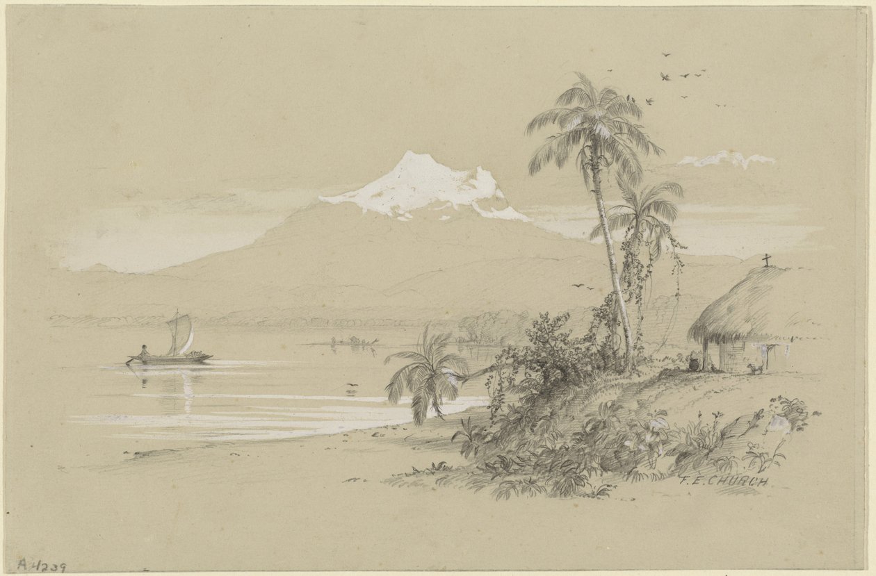 Magdalena River, New Granada, Ecuador af Frederic Edwin Church