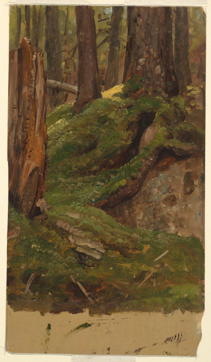 Maine? skove af Frederic Edwin Church