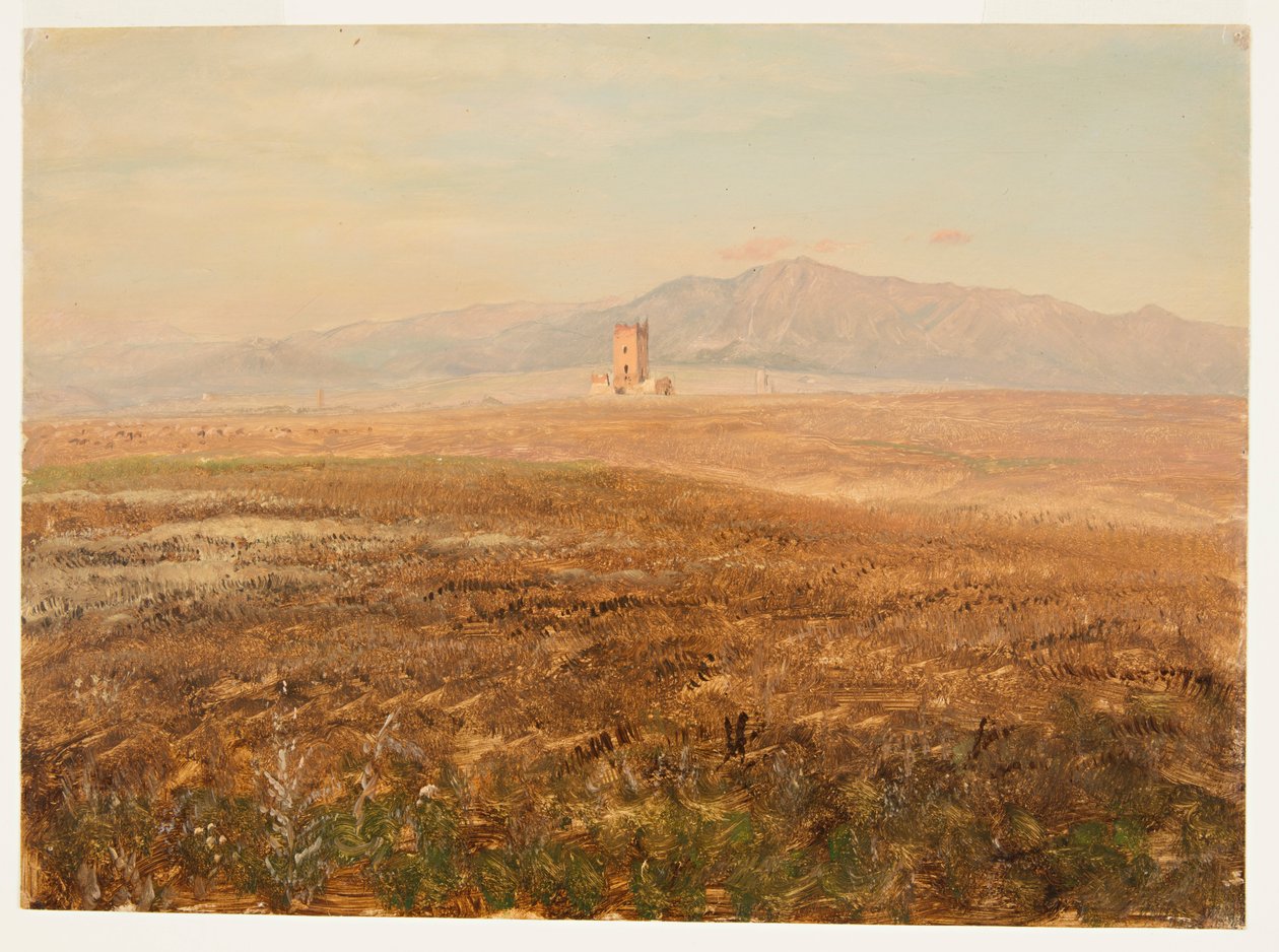 Mexicansk landskab af Frederic Edwin Church