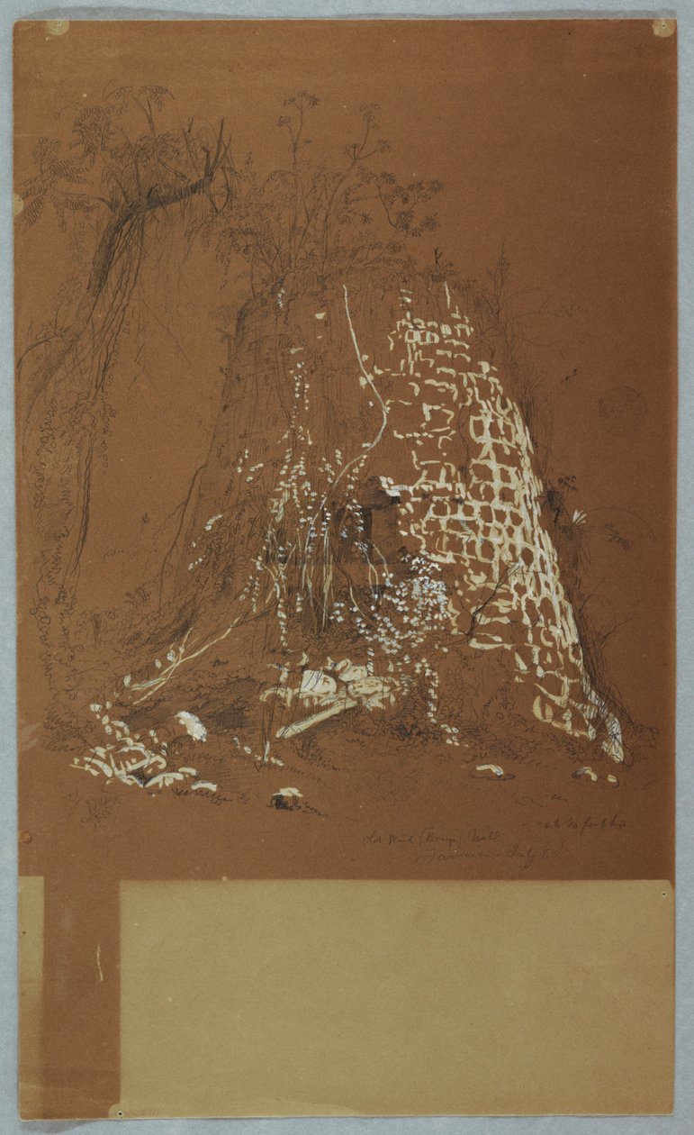 Gamle vindmølle, Jamaica af Frederic Edwin Church