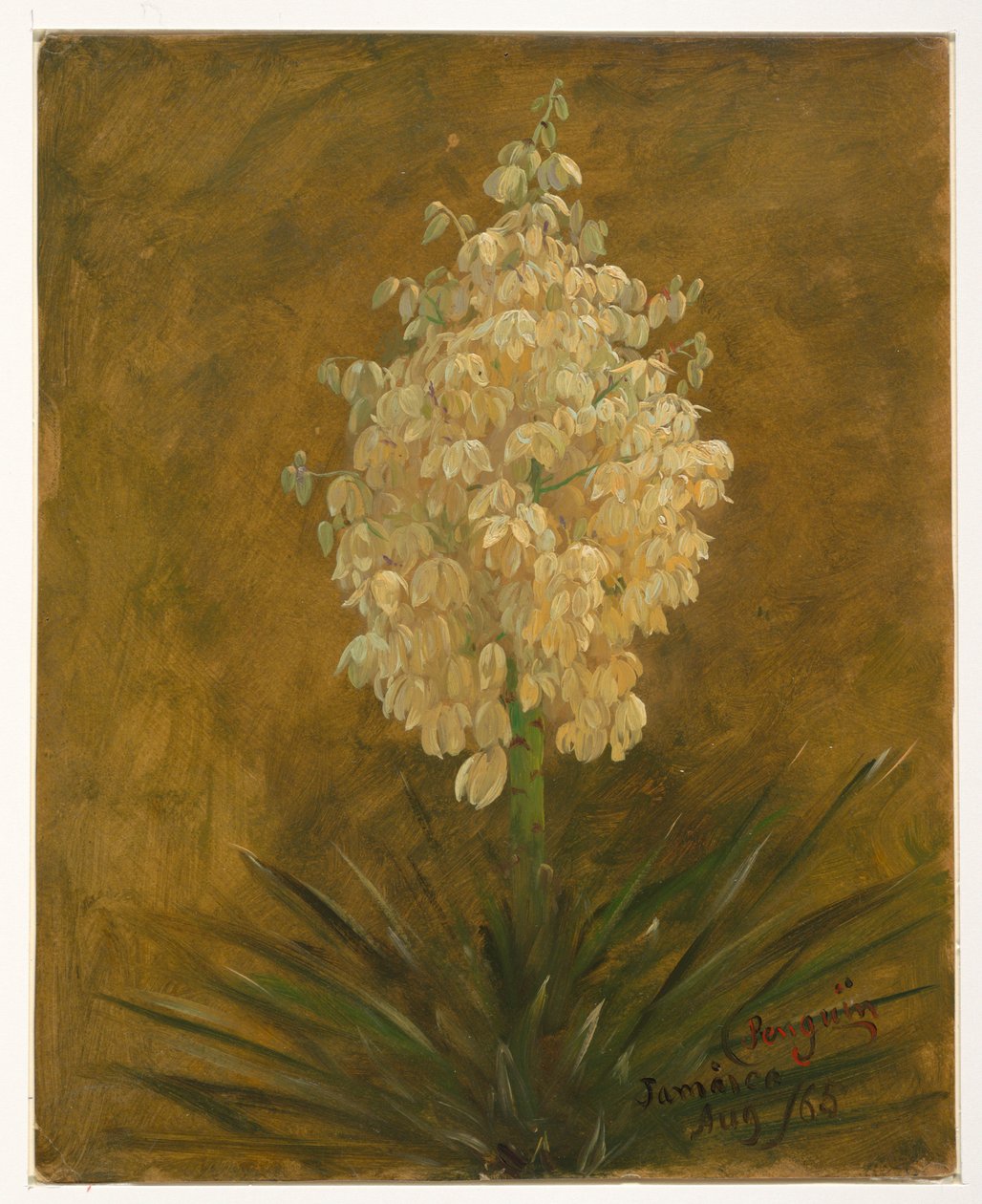 Pingvin plante af Frederic Edwin Church