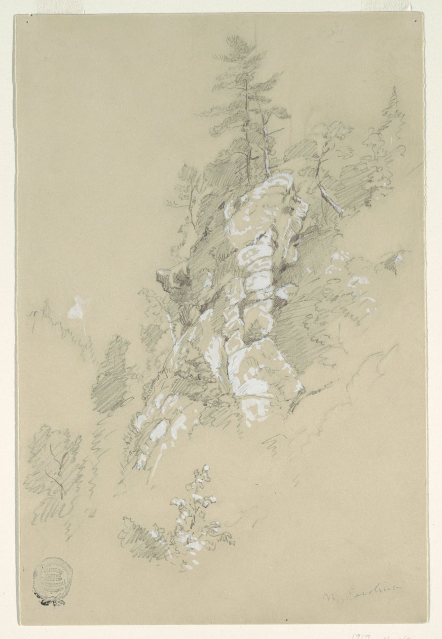Rocky Hillside, North Carolina af Frederic Edwin Church
