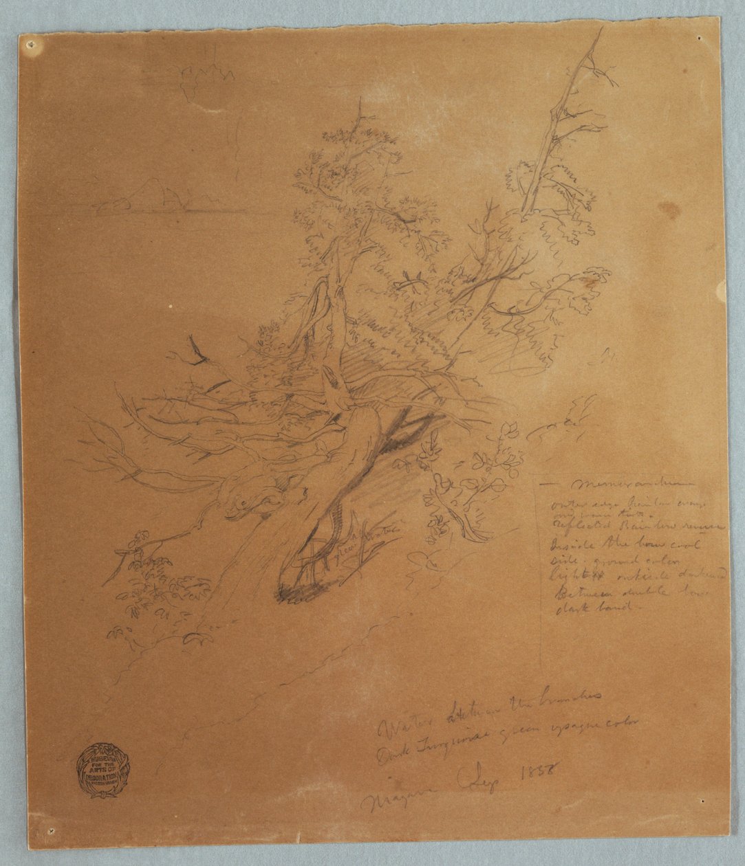 Rugged Tree ved Canadian Bank under Niagara Falls af Frederic Edwin Church