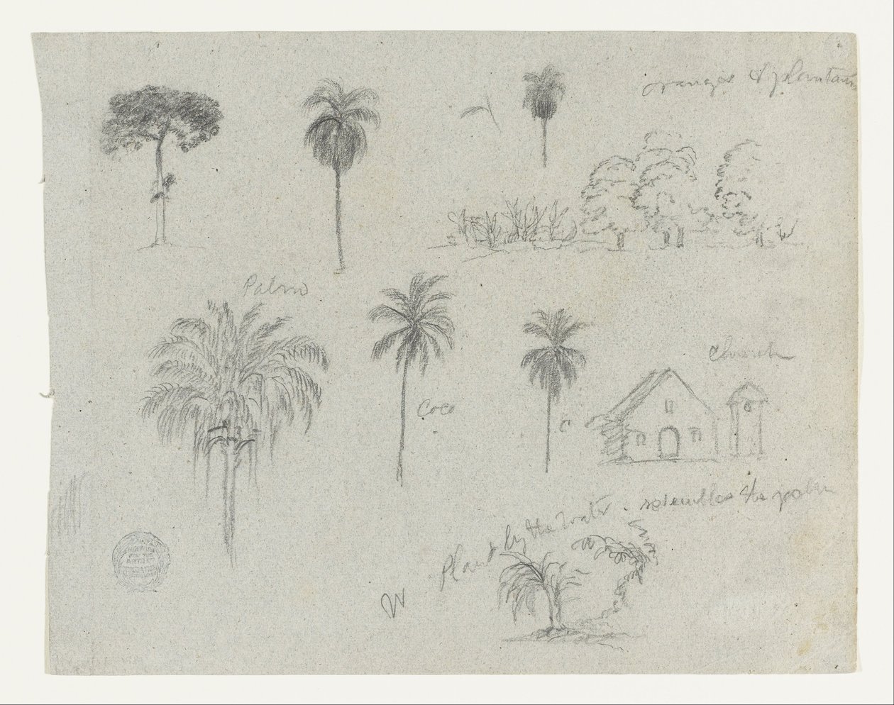 Skitser fra Rio Magdalena, Colombia.  Botaniske skitser. En kirke.  Svarende til -103. af Frederic Edwin Church