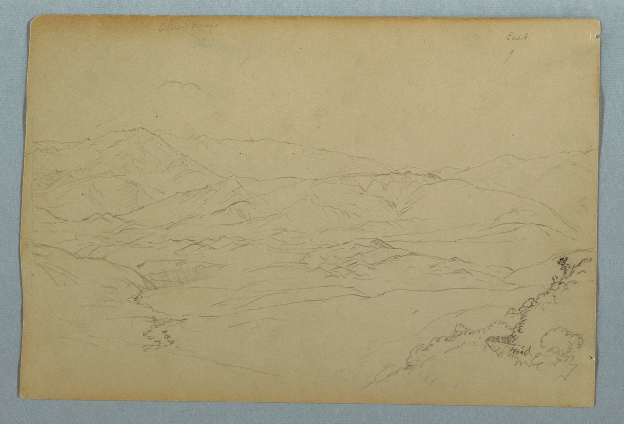 Skitser af planter og af en del af balustraden, der grænser op til terrassen på kroen i Guaranda, Ecuador af Frederic Edwin Church