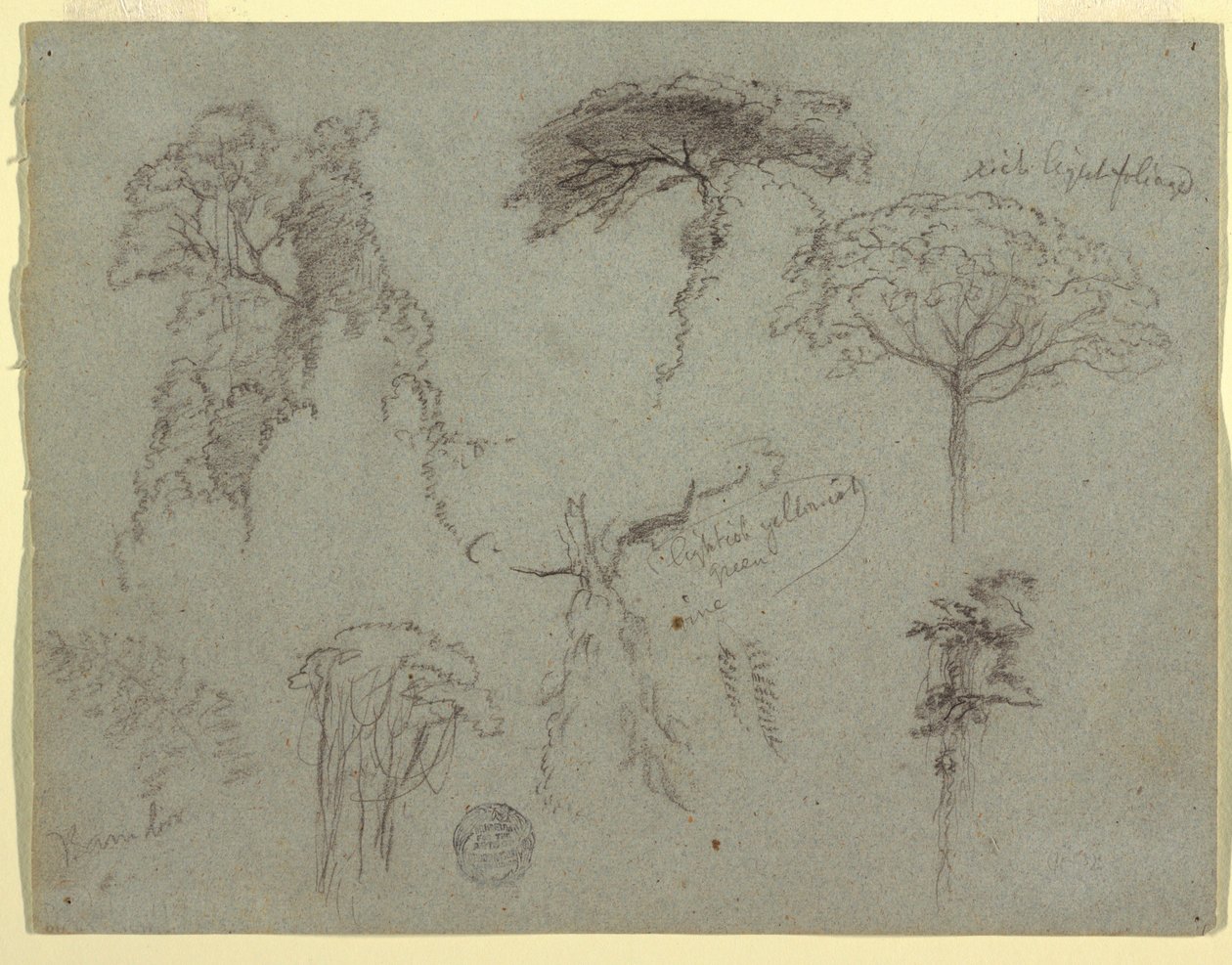 Studier af træer, Ecuador af Frederic Edwin Church