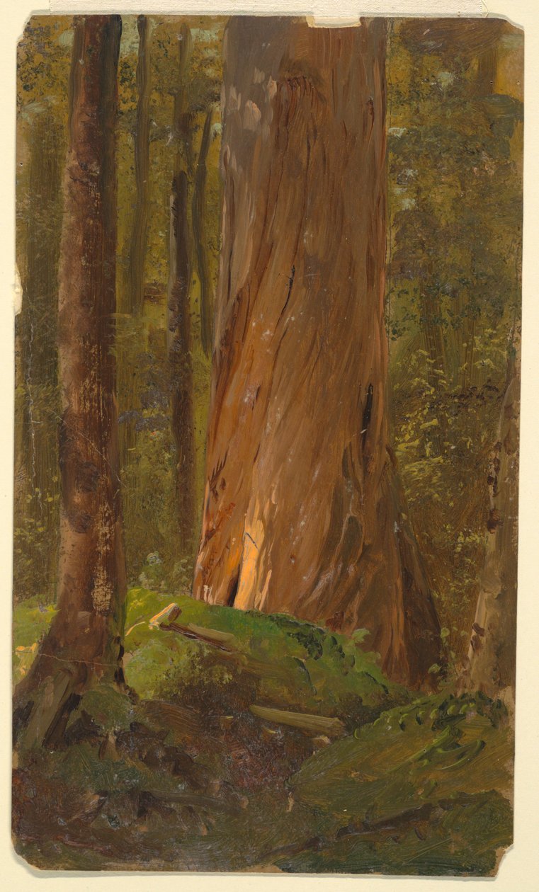 Studer i Maine Woods af Frederic Edwin Church