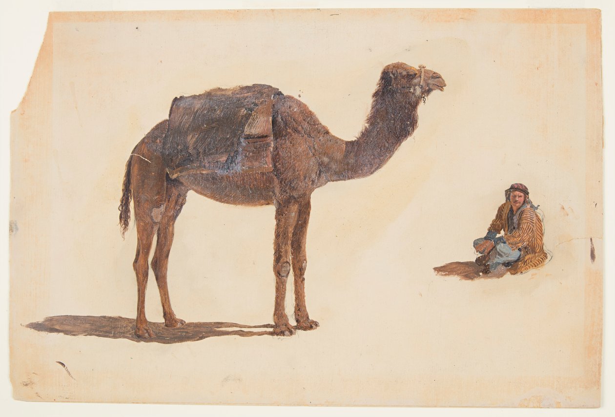 Studie af en dromedar af Frederic Edwin Church