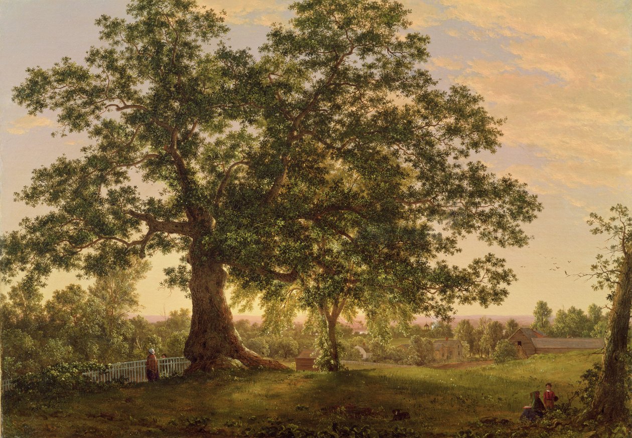 Charter Oak i Hartford, ca. 1846 af Frederic Edwin Church