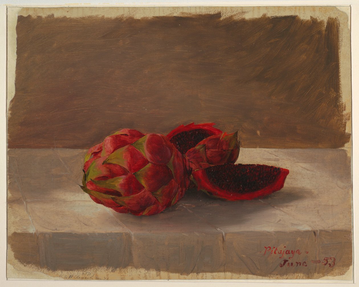 The Pitajaya Fruit, Columbia af Frederic Edwin Church