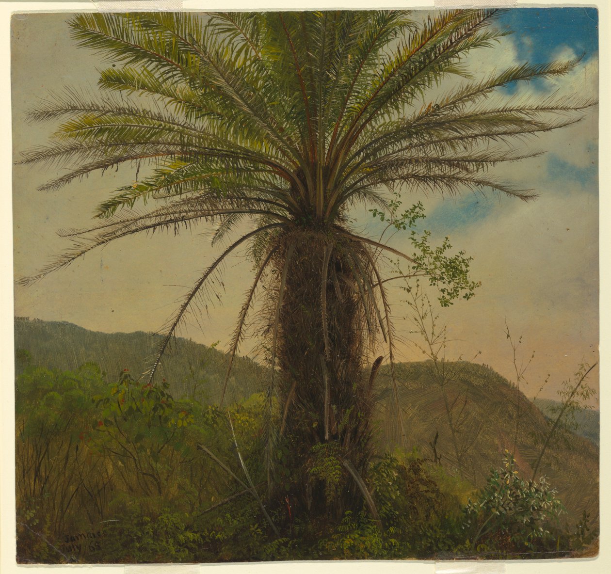 Tree Fern, Jamaica, juli 1865 af Frederic Edwin Church