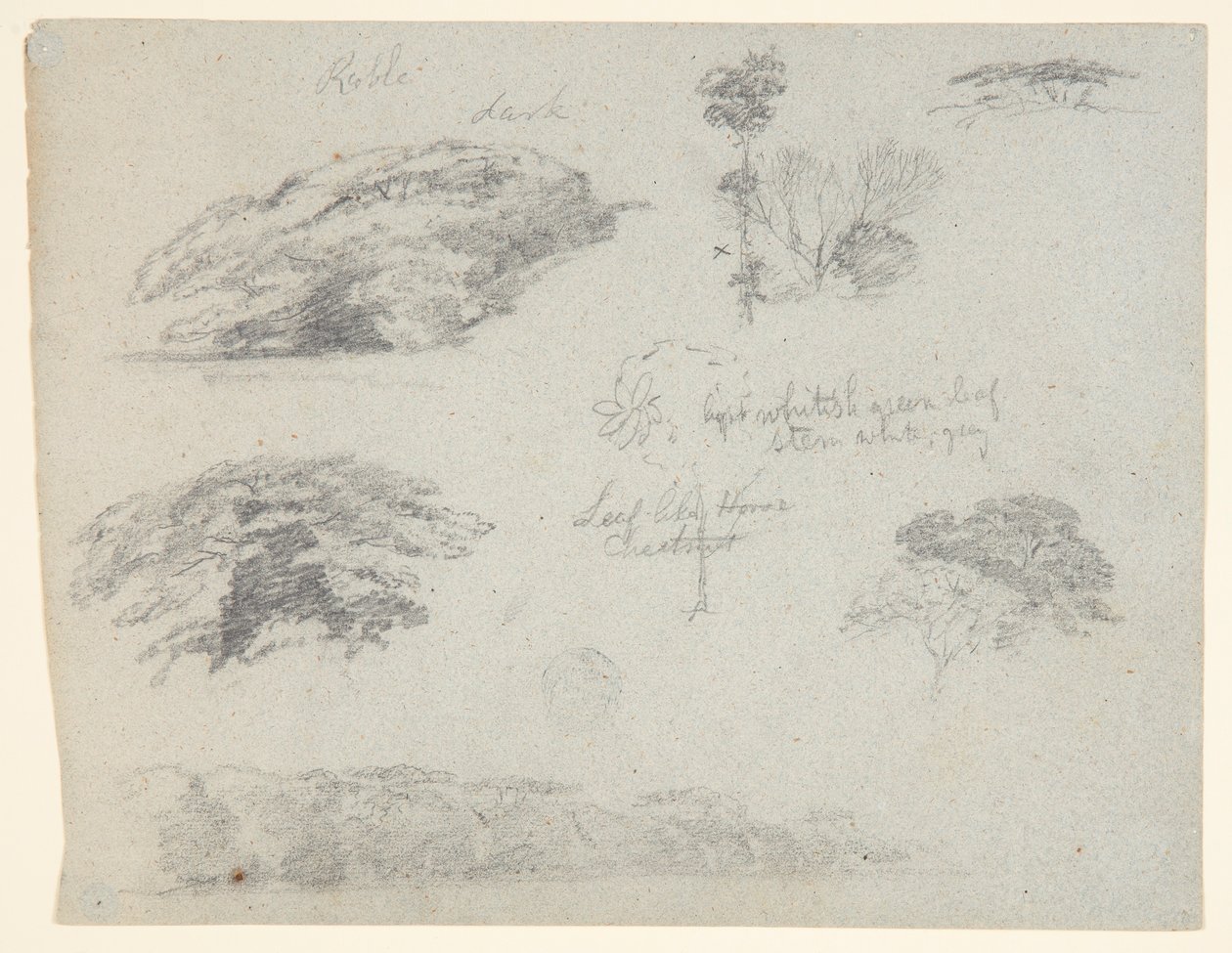 Træer, trætoppe og en skovklædt banke, Saddleback, Maine af Frederic Edwin Church