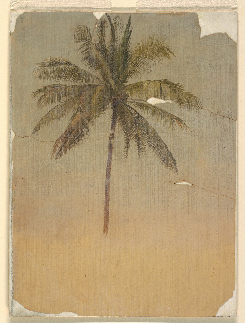 Stamme og top af en palme af Frederic Edwin Church