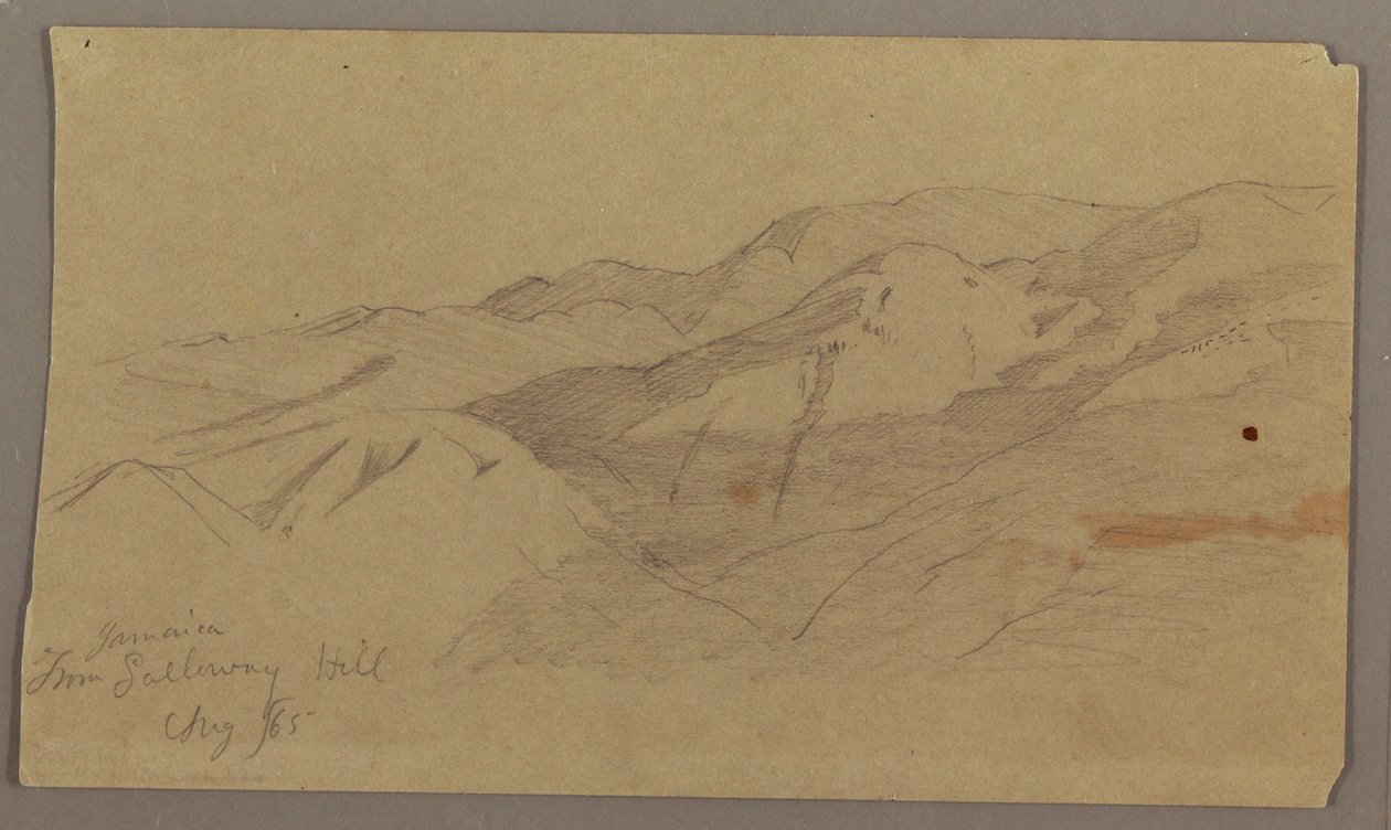 Udsigt fra Galleway Hill, Jamaica af Frederic Edwin Church