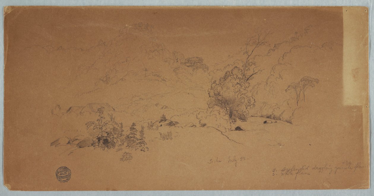 Udsigt over Toche, Colombia af Frederic Edwin Church