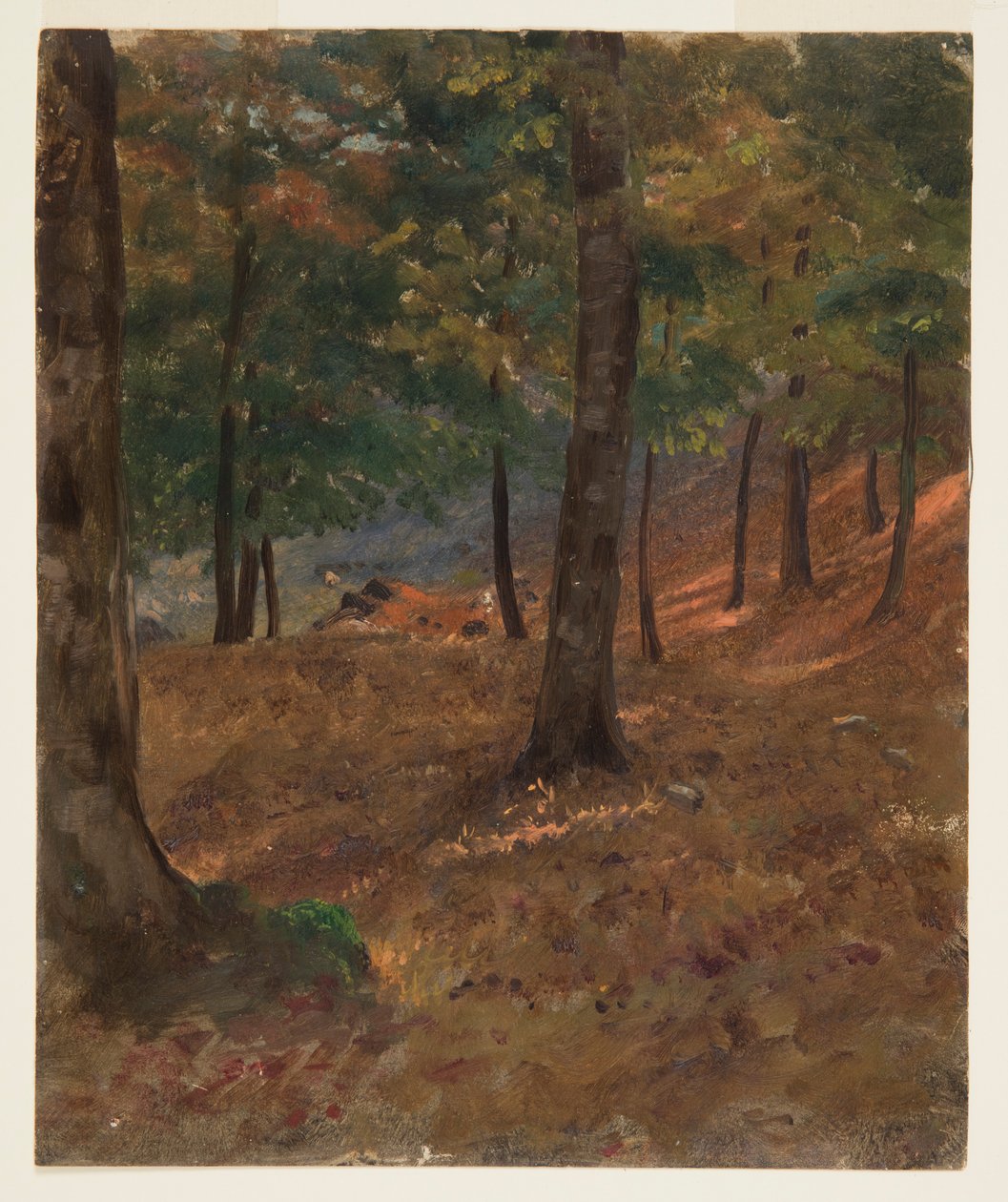 Skovscene af Frederic Edwin Church
